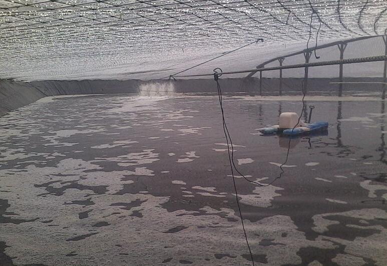 魚(yú)塘修建土工膜和混凝土哪種方法更可靠？